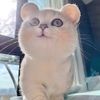 juliaposh628